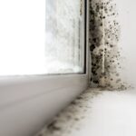 Maintaining Properties: Stopping Mold and Encouraging Correct Air Quality