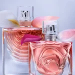 Paraben-Free Perfume Collections With Thoughtfully Curated Natural Aroma Profiles